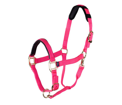 Topaz Leather Breakaway Padded Nylon Halter