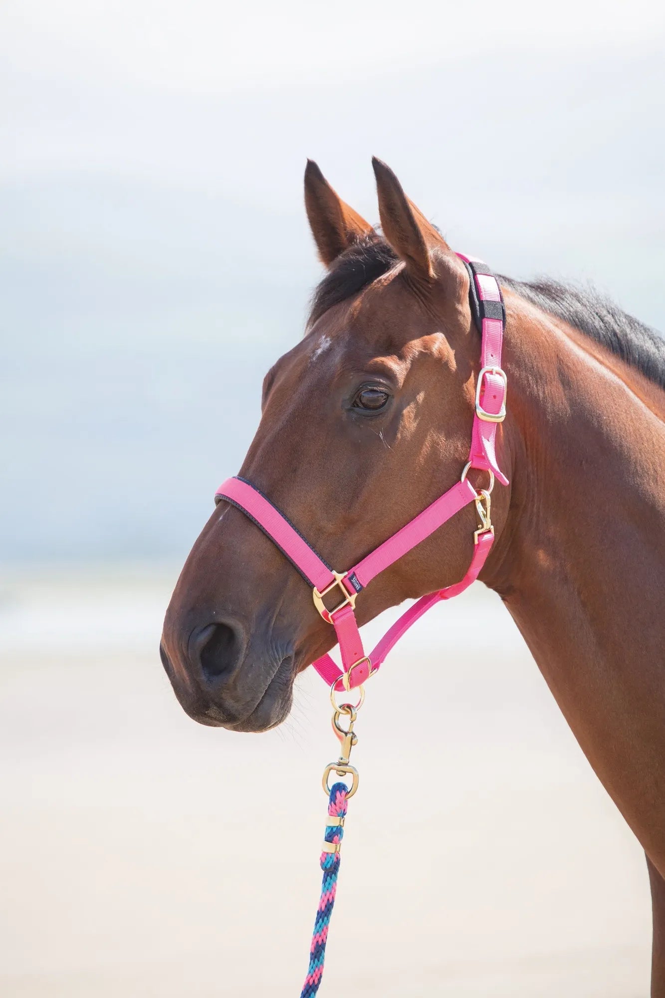 Topaz Leather Breakaway Padded Nylon Halter