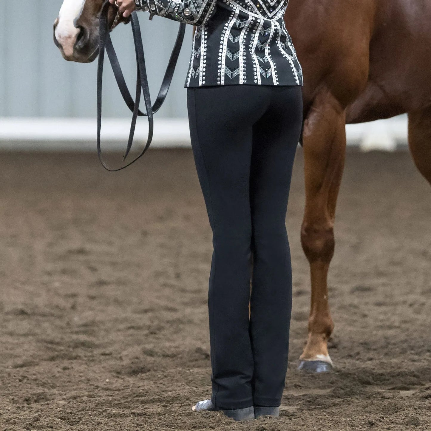 Circuit Western Show Pant || LIMITED SIZES