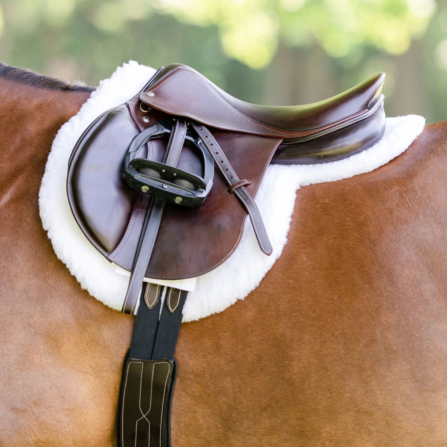 Hunter Essential Pad