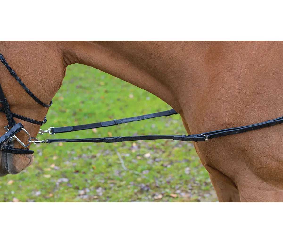 Avignon Leather & Elastic Side Reins