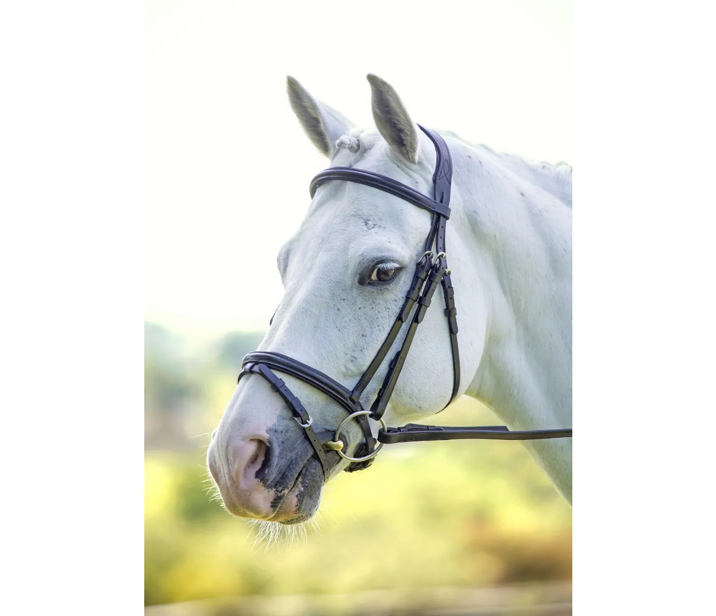 Velociti Padded Bridle with Flash