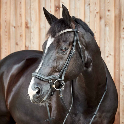 Highbury Anatomical Crystal Bridle || Black Cob Size ONLY