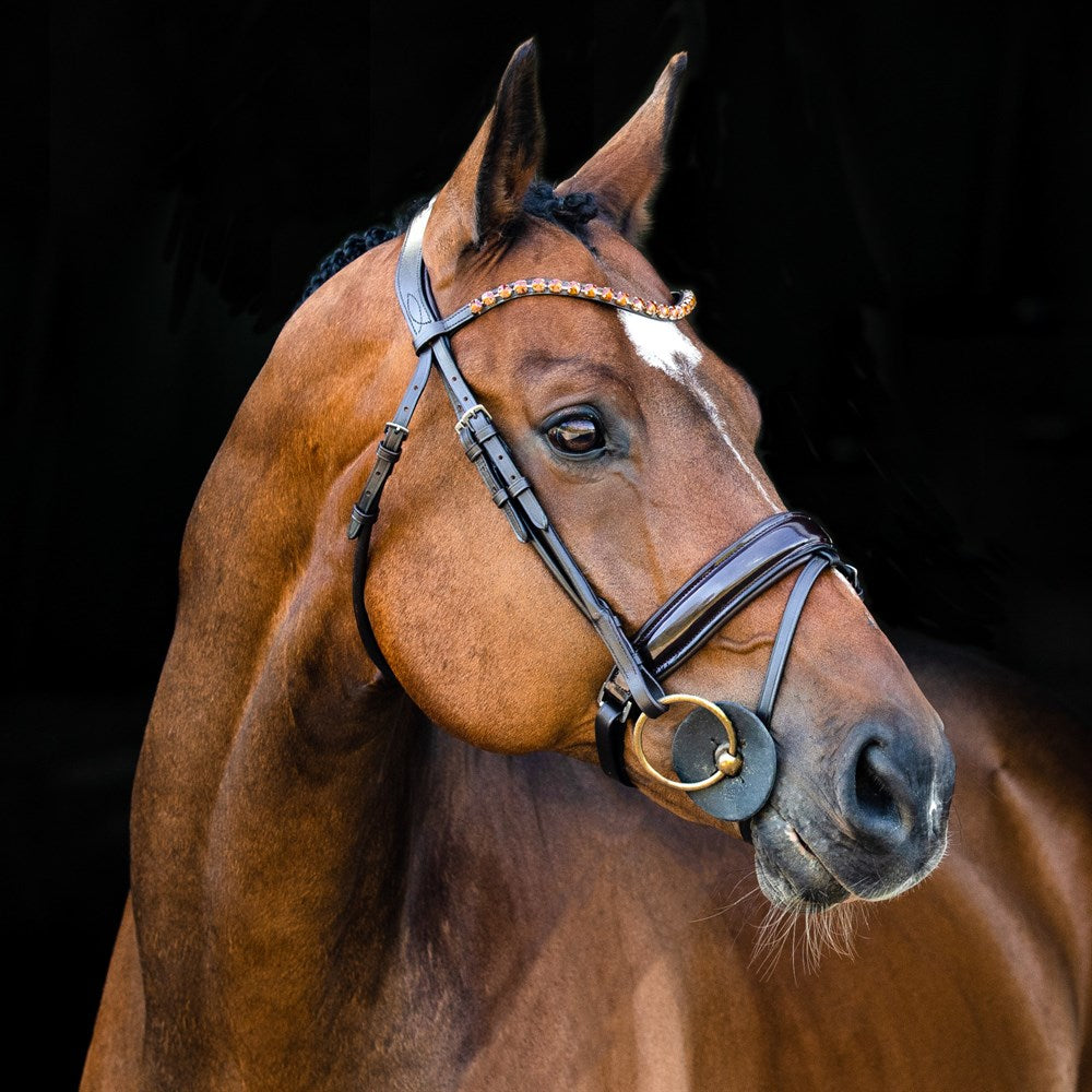 Clermont Bridle with Crystal Browband