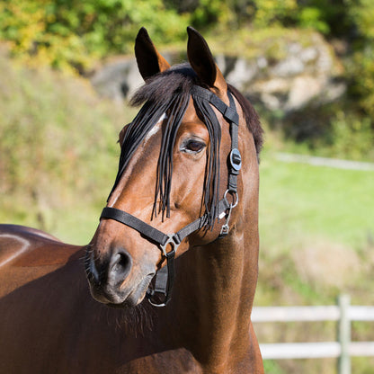Fly Veil Browband