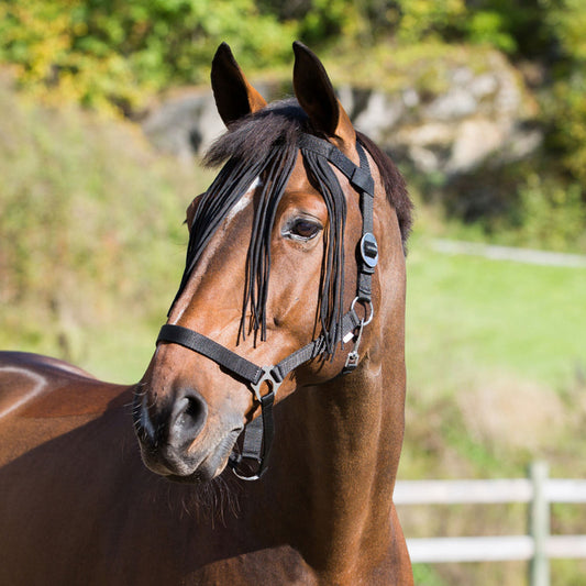 🐎𝑫𝑶𝑼𝑩𝑳𝑬 𝑯𝑶𝑹𝑺𝑬 𝑩𝑼𝑪𝑲𝑺🐎 Fly Veil Browband