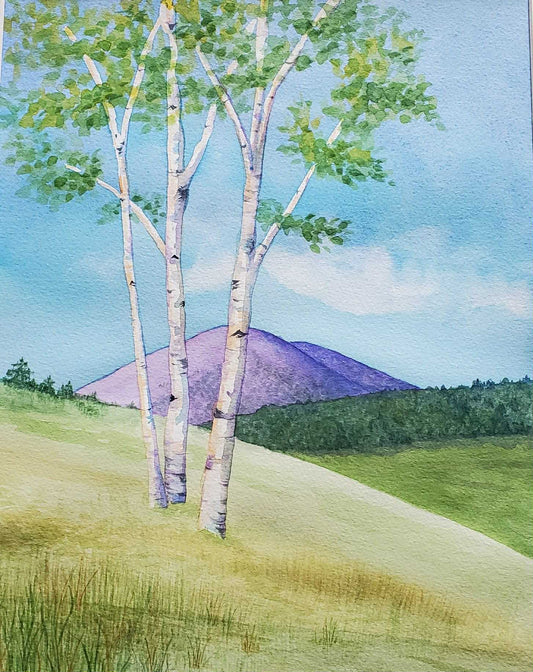 Birches With Mt Ascutney || Original Watercolor by Diane Wood