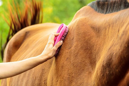 MAGIC BRUSH