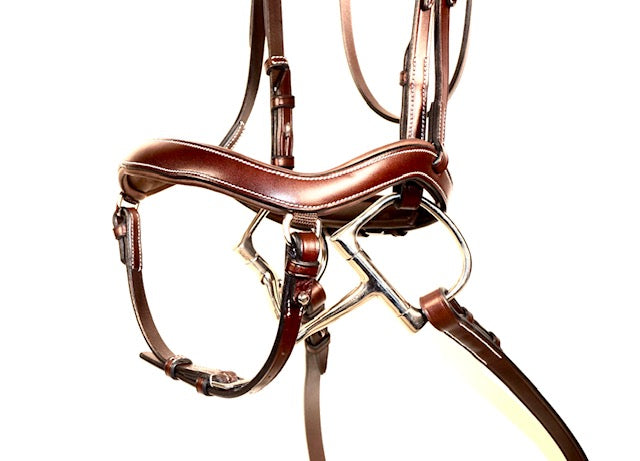 Betris Bridle