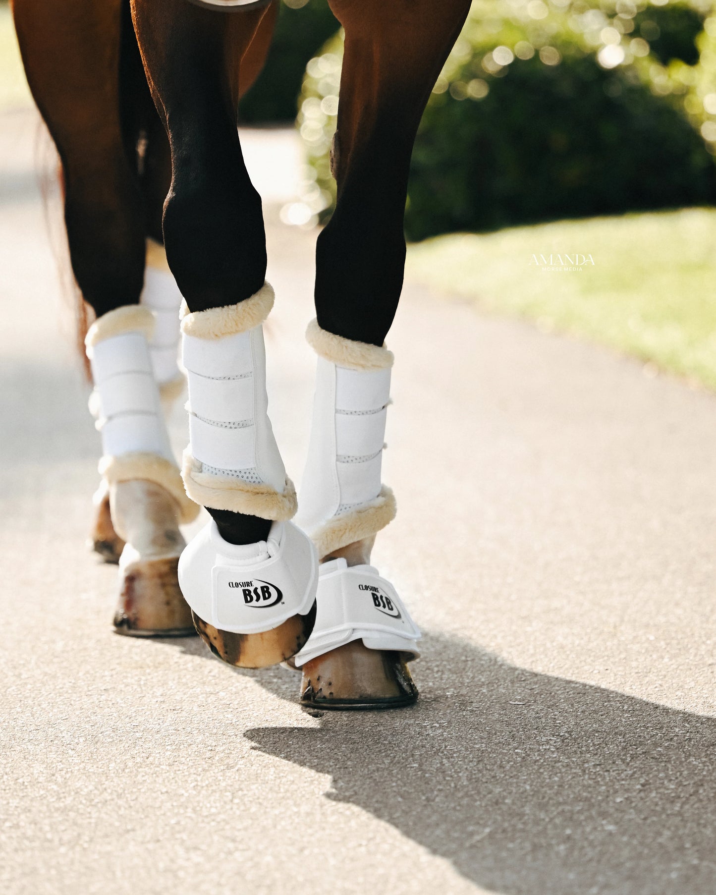 Cool Dressage Sport Boots