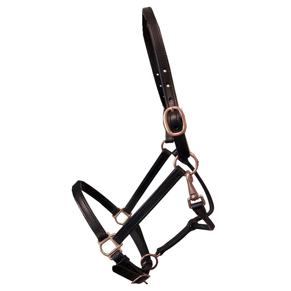 Deluxed Leather Track Halter || 1" Leathers