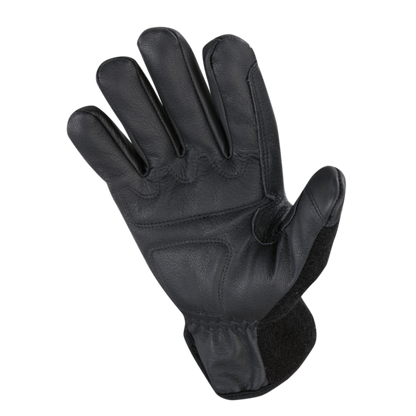 Trainer Glove