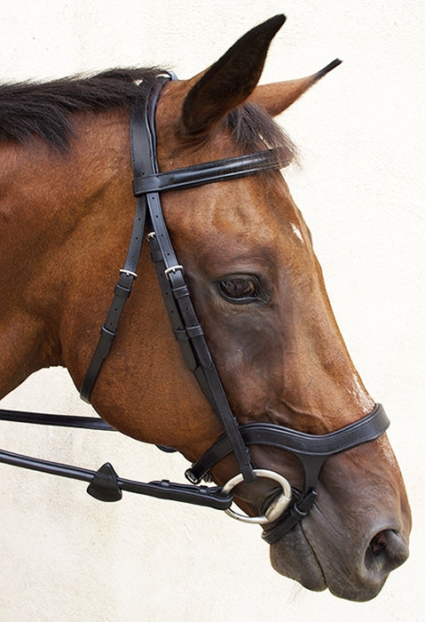 Innovativo Shaped Bridle || Horse Size ONLY