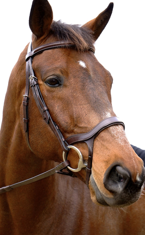 Innovativo Shaped Bridle || Horse Size ONLY