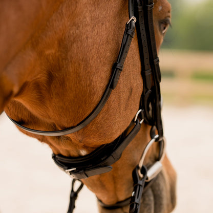 Red Barn || Arena Ergonomic Bridle || Black Horse Size ONLY