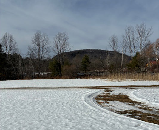 Weathersfield, 105+ Acres ~ Plenty of room to pursue your passions