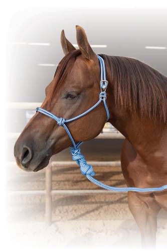 Easy On Rope Halter with Matching Lead