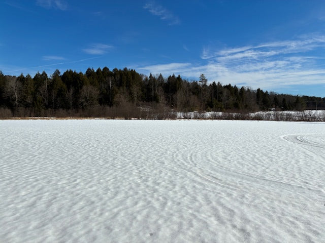 Weathersfield, 105+ Acres ~ Plenty of room to pursue your passions