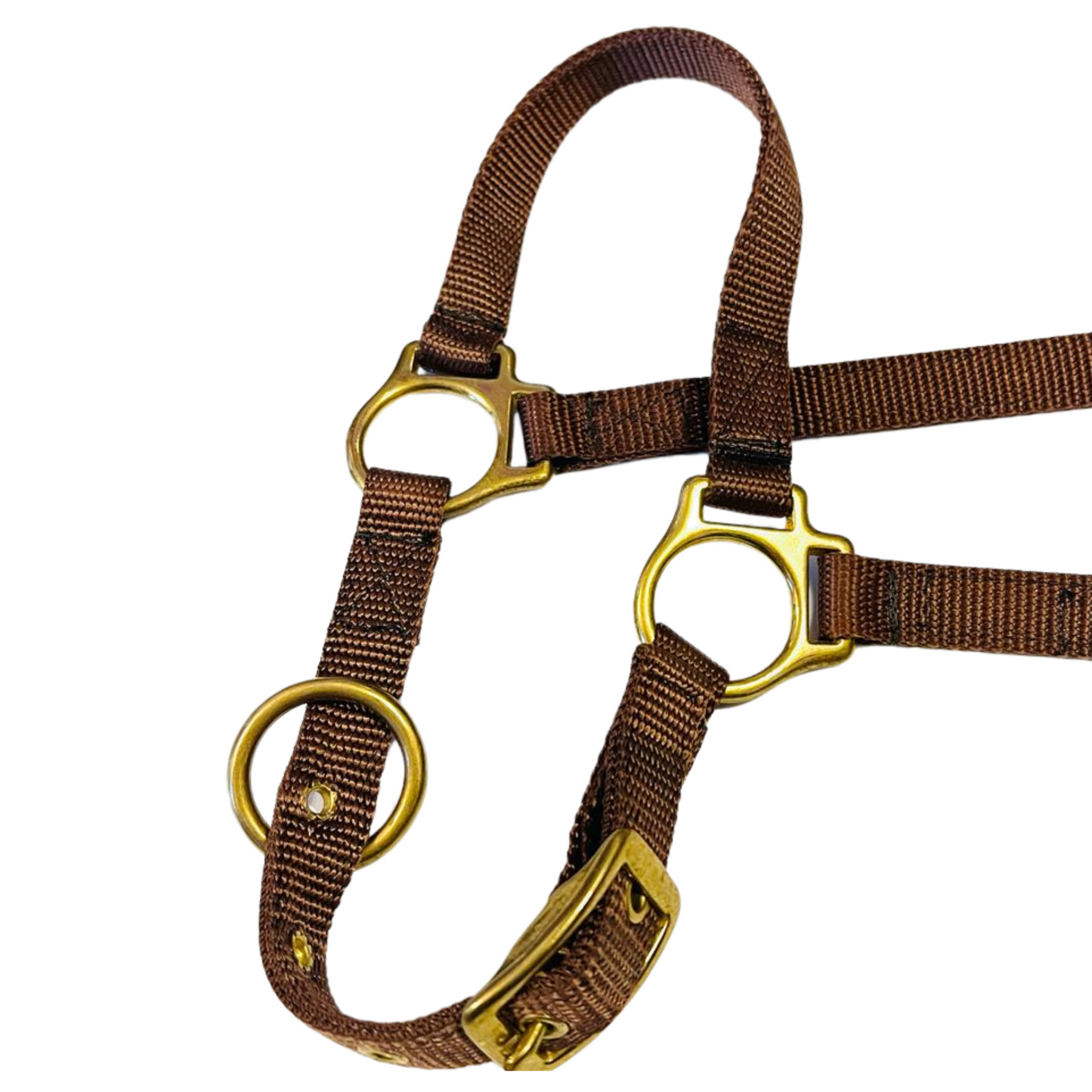 Grooming Halter || Horse Size ONLY