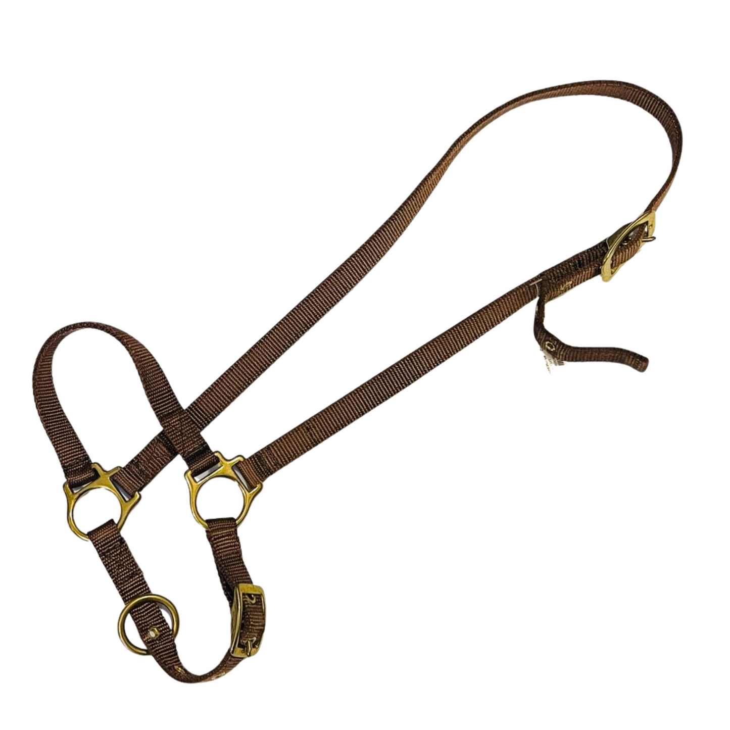 Grooming Halter || Horse Size ONLY