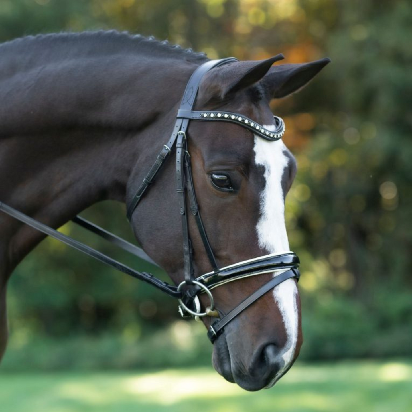 Red Barn || Stride Snaffle Bridle with Flash