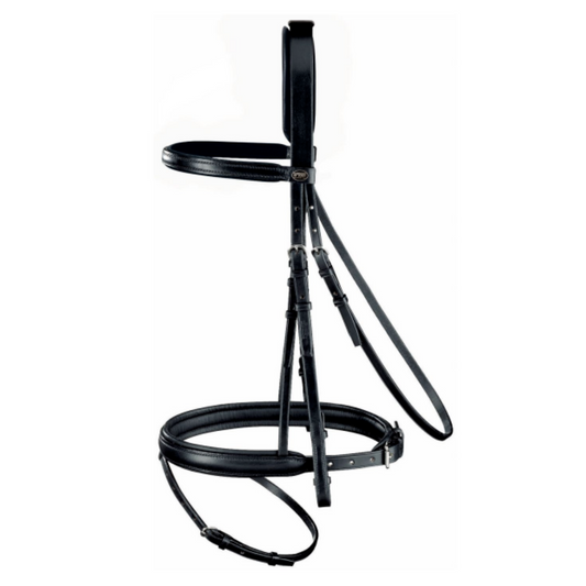 Aquarius Padded Bridle With Flash || Horse Size