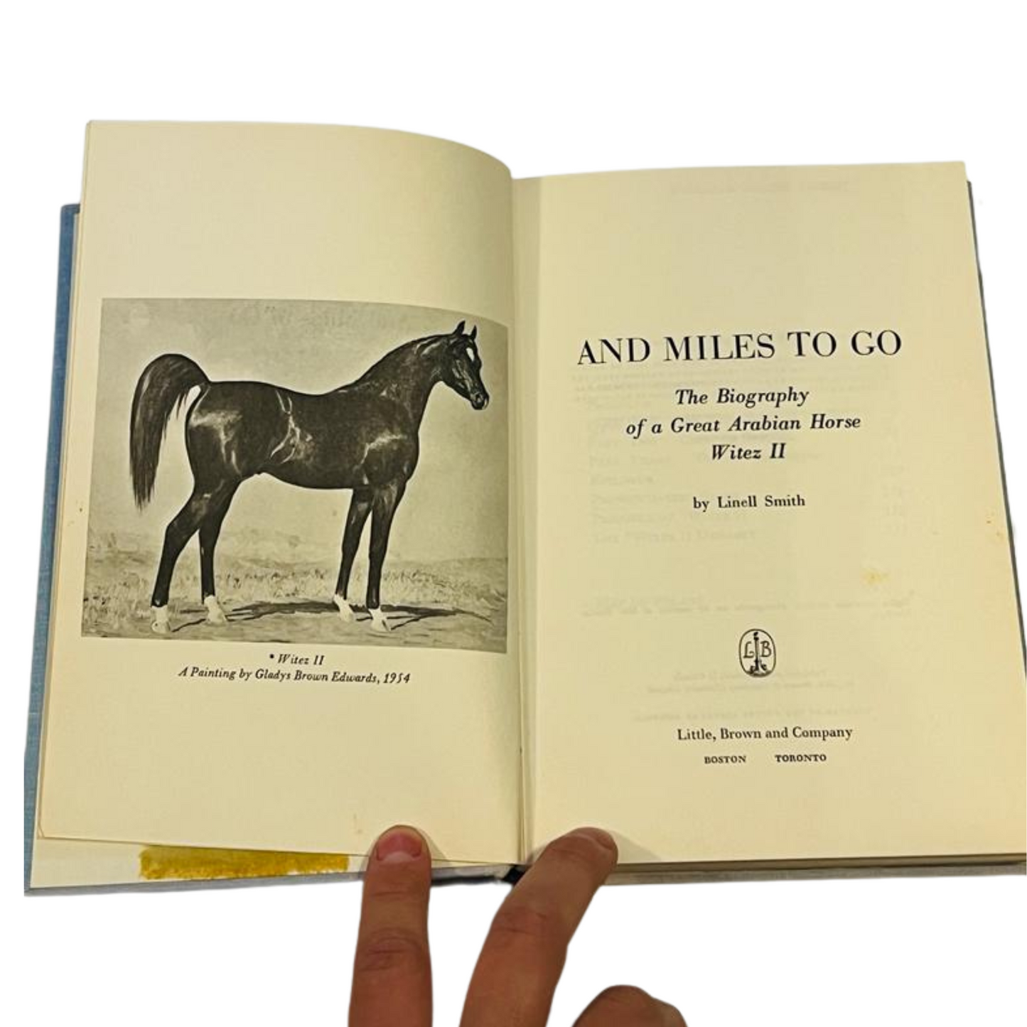 And Miles to Go || The Biography of a Great Arabian Horse Witez II by Linell Smith