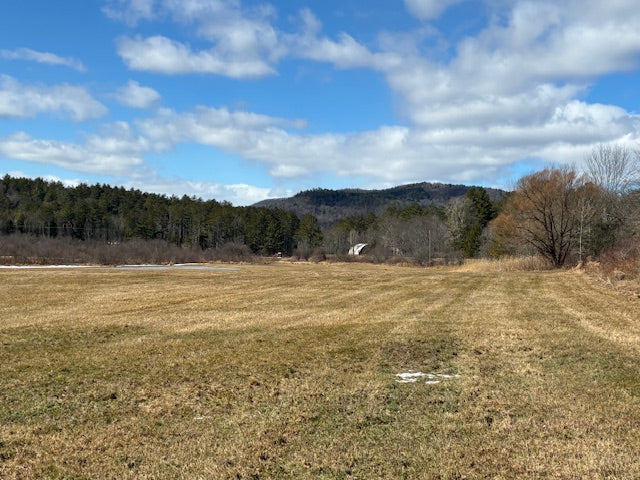 Weathersfield, 105+ Acres ~ Plenty of room to pursue your passions