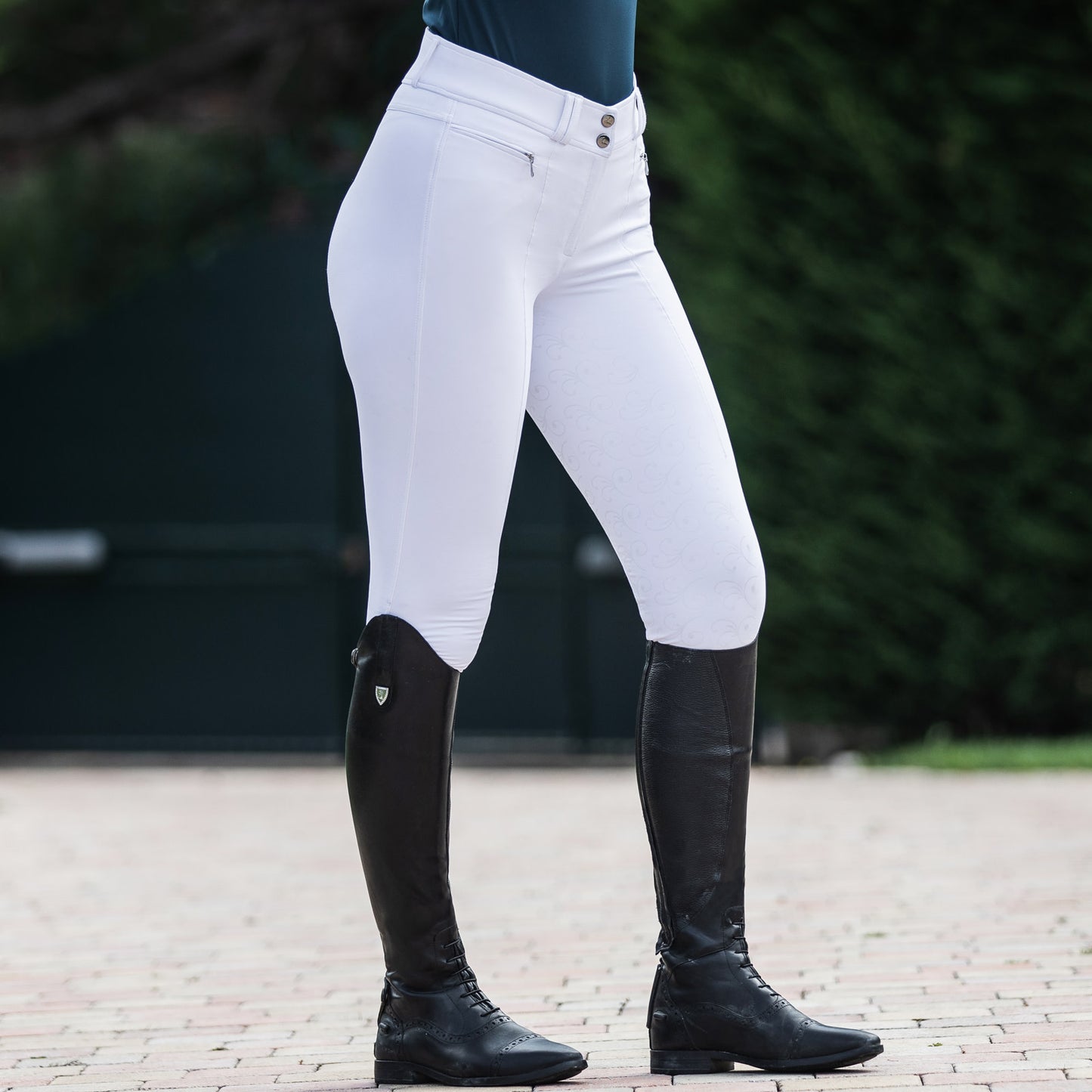 Angelina Full Seat Breeches || Plus Sizes Available