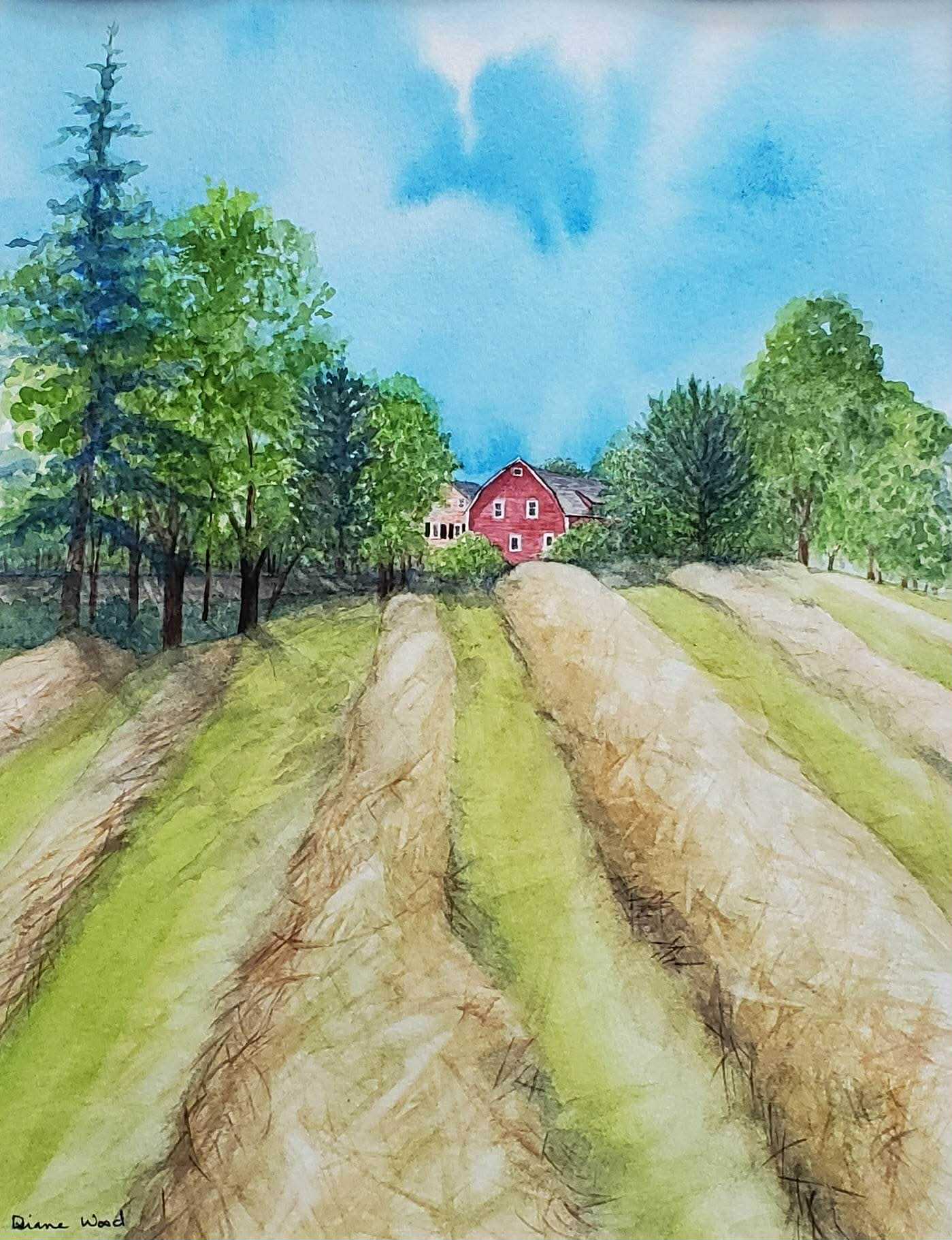 Great Day For Hay || Greeting Cards by Diane Wood
