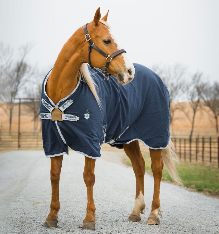 Rambo® Helix Sheet with Disc Front Closure || LIMITED SIZES – The ...