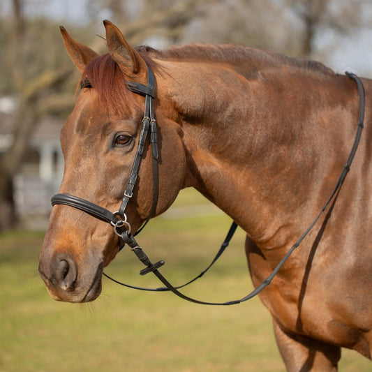 Saga Bitless Bridle