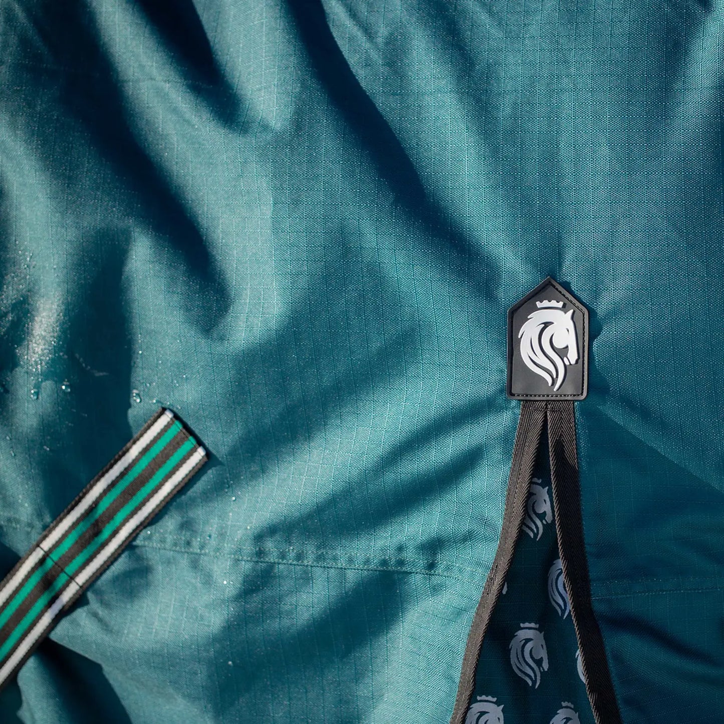 Arktis Extended Neck Heavy Weight Turnout Blanket- 300G