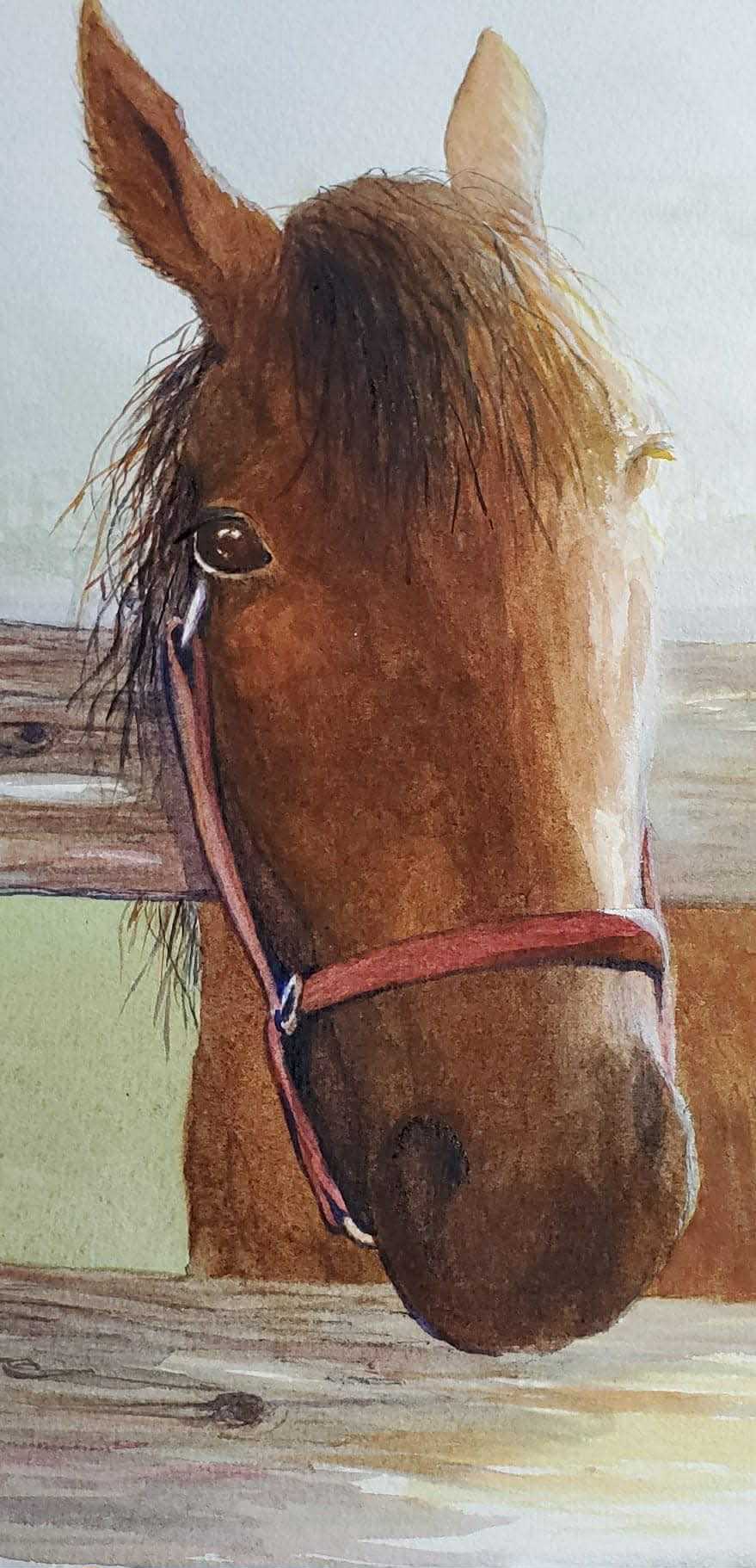 Bed Head || Original Watercolor by Diane Wood