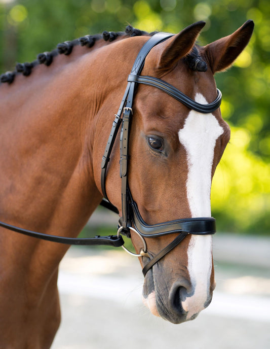 Black Oak || Palm Ergonomic Bridle