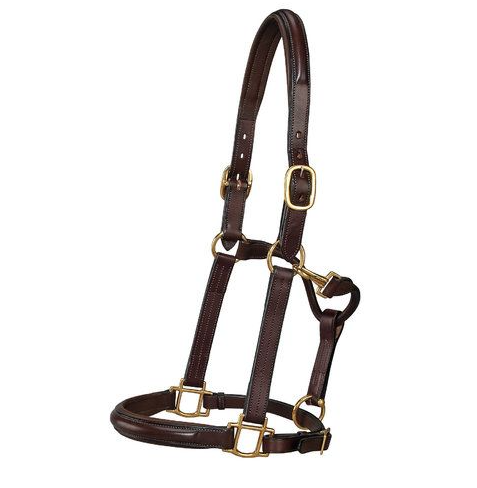 Raised & Padded 3/4" Leather Halter || CLOSEOUT