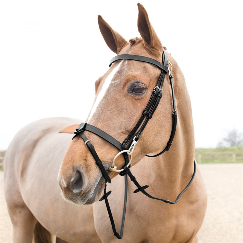 Sparta Hunter Bridle