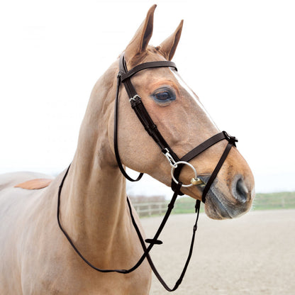 Sparta Hunter Bridle