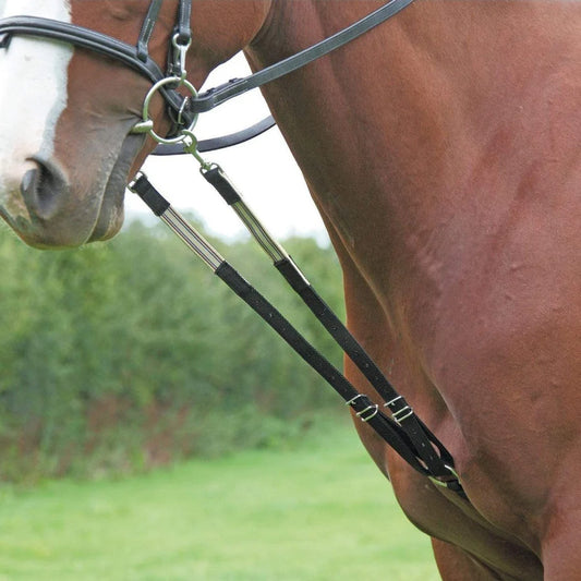 Harbridge Training Martingale