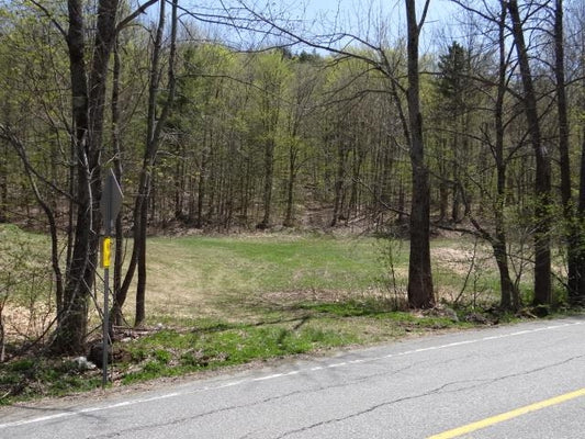 South Woodstock, VT 38+ Acres: New to the market for the first time in almost 100 years