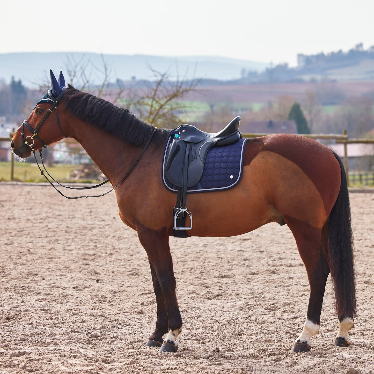 Zurich Dressage Pad