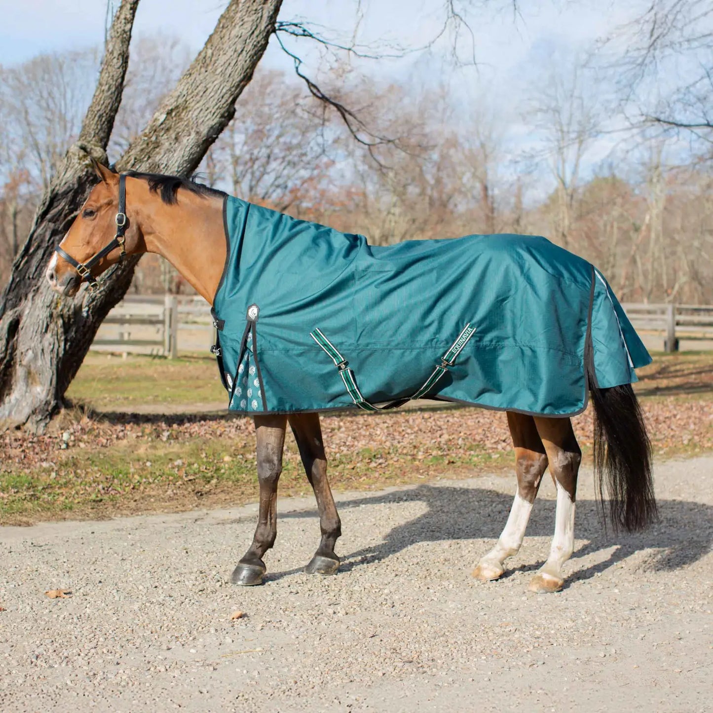 Arktis Extended Neck Heavy Weight Turnout Blanket- 300G