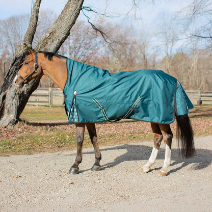 Arktis Extended Neck Heavy Weight Turnout Blanket- 300G