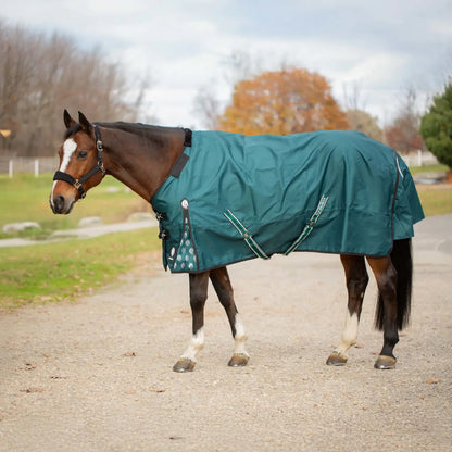 Arktis Regular Neck Heavy Weight Turnout Blanket- 300G