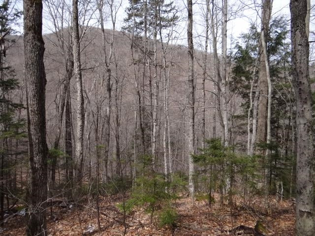 South Woodstock, VT 38+ Acres: New to the market for the first time in almost 100 years