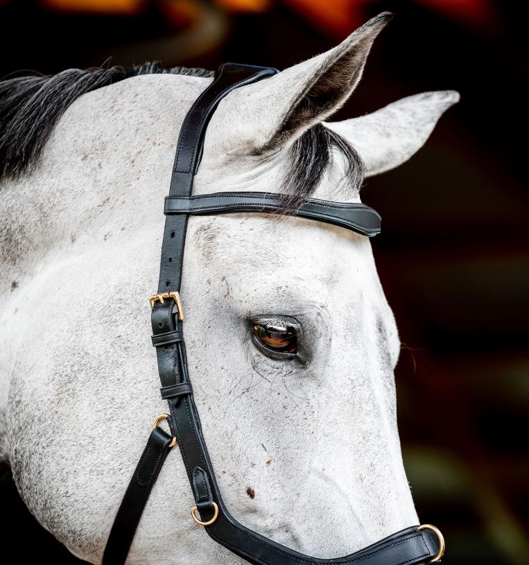 Micklem® || Multi Bridle || Brown Cob Size ONLY