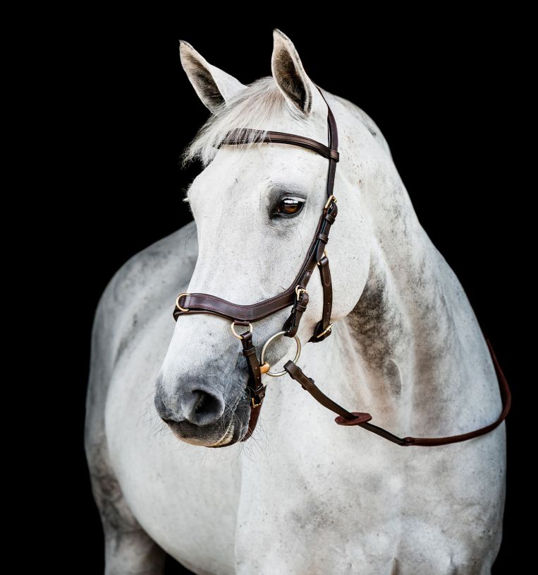 Micklem® || Multi Bridle || Brown Cob Size ONLY