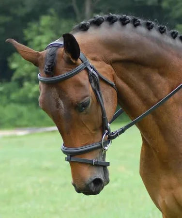 Laura's Loft || Red Barn || Centerline Bridle with Flash || Horse Size ONLY