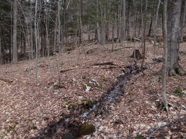 South Woodstock, VT 38+ Acres: New to the market for the first time in almost 100 years