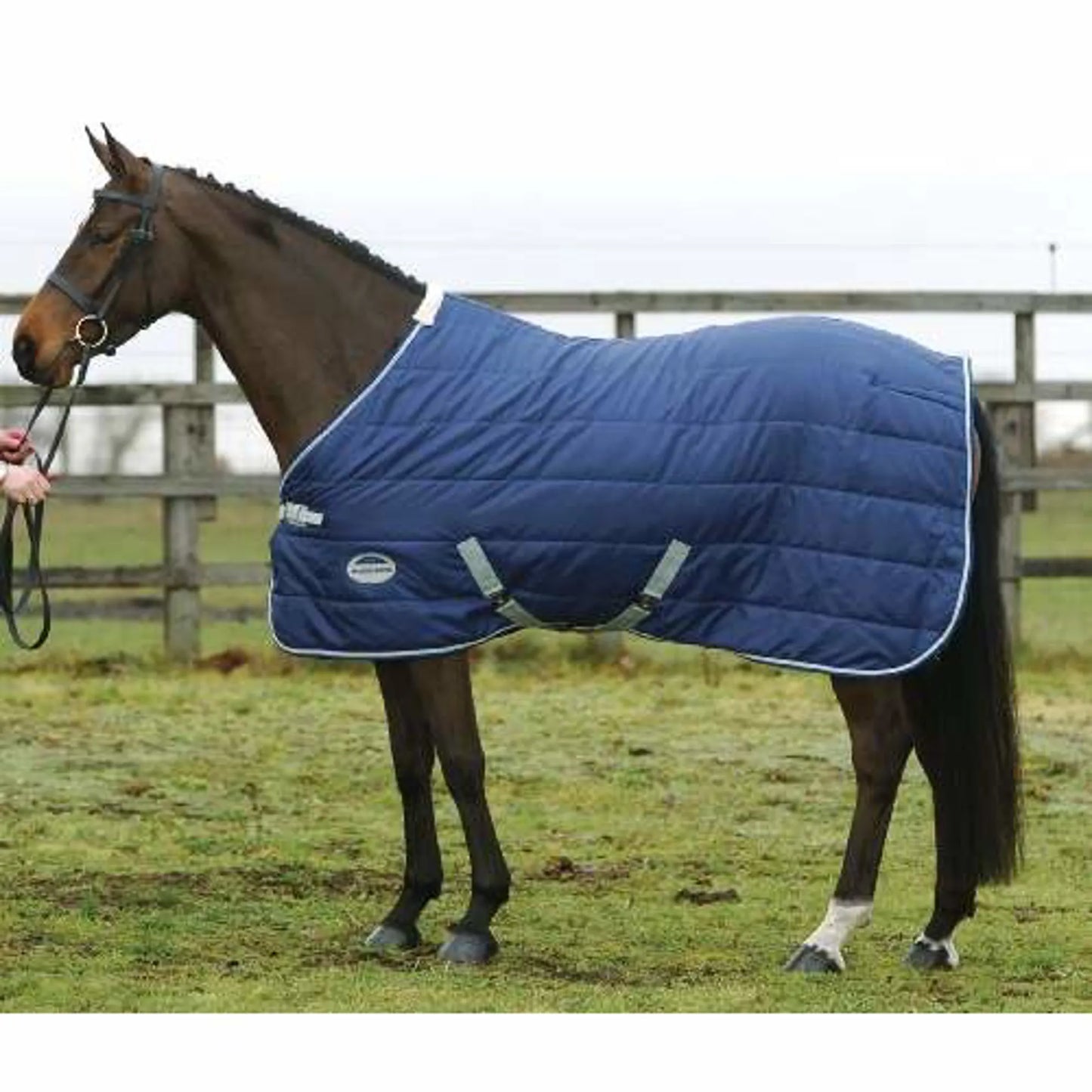 Jasper Standard Stable Blanket || Size 72 ONLY